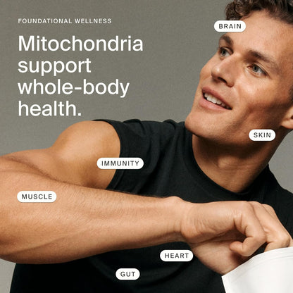 Mitopure Softgels Urolithin A TimeLine