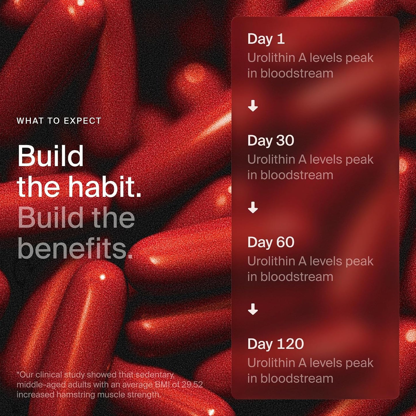 Mitopure Softgels Urolithin A TimeLine