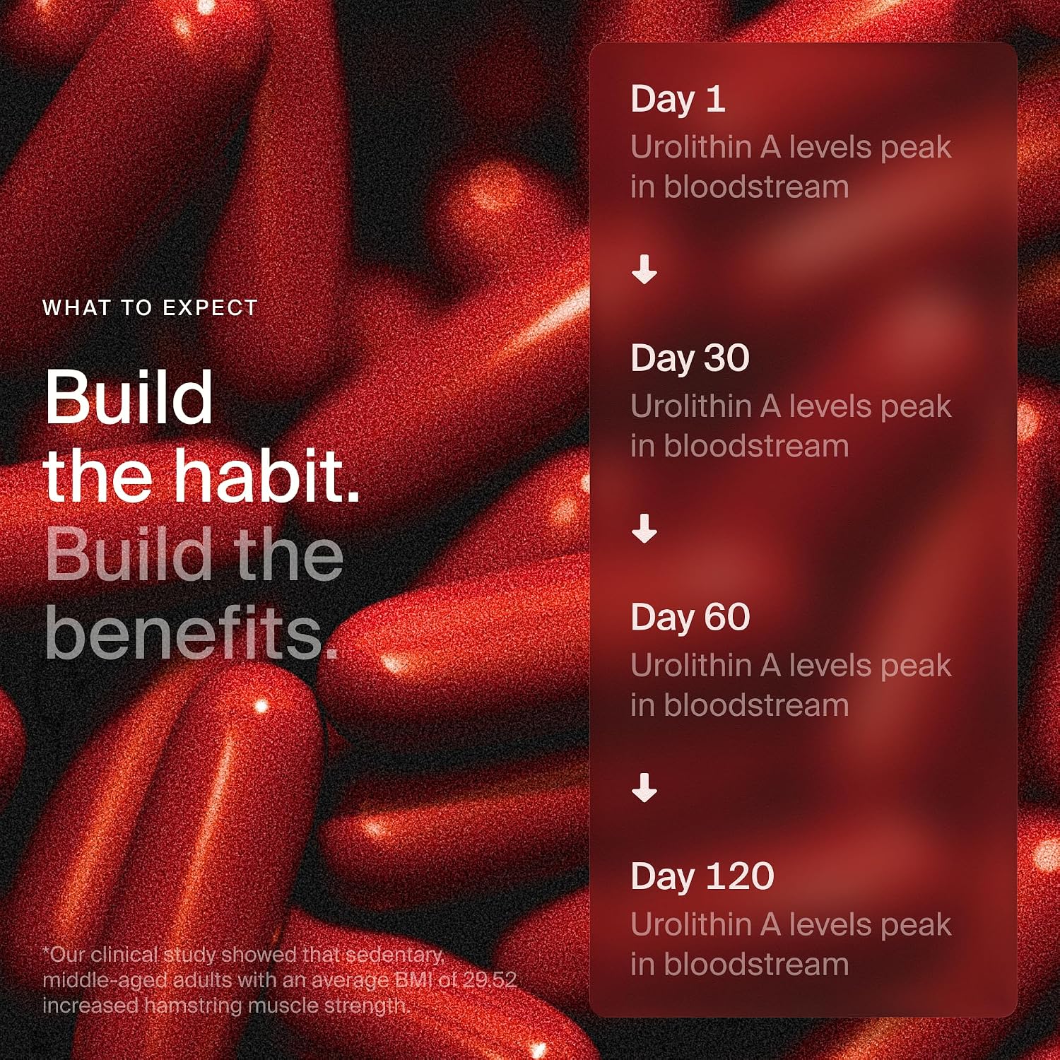 Mitopure Softgels Urolithin A TimeLine