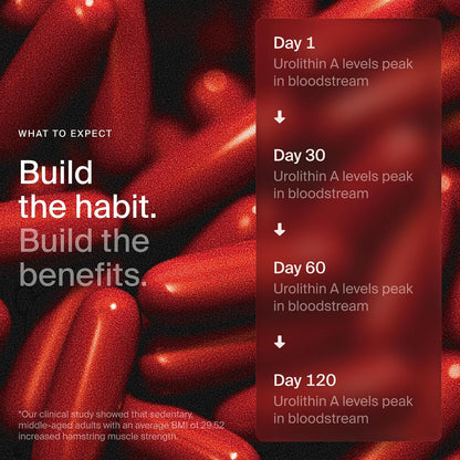 Mitopure Softgels Urolithin A TimeLine